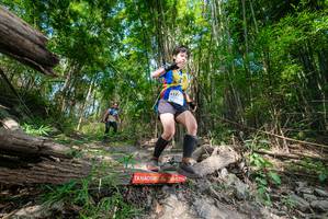 BIB: 
                            <button type="button" onclick="openModal(19389327)" class="btn btn-primary btn-sm float-right btn-popup" data-toggle="modal" data-target=".modal-high-quality">
                        <i class="fas fa-shopping-cart"></i> Add to Cart
                    </button>
                                            <button type="button" onclick="isThisMe(19389327, true)" class="btn btn-success btn-sm float-right btn-popup btn-isme hidden" data-toggle="tooltip" data-placement="bottom" title="นี่คือรูปของคุณใช่ไหม คลิกที่นี่เพื่อเอาเข้าอัลบั้ม">
                        <i class="fas fa-plus"></i> Add to album
                    </button>
                    <button type="button" onclick="isThisMe(19389327, false)" class="btn btn-warning btn-sm float-right btn-popup btn-isnotme hidden">
                        <i class="fas fa-ban"></i> Remove from album
                    </button>